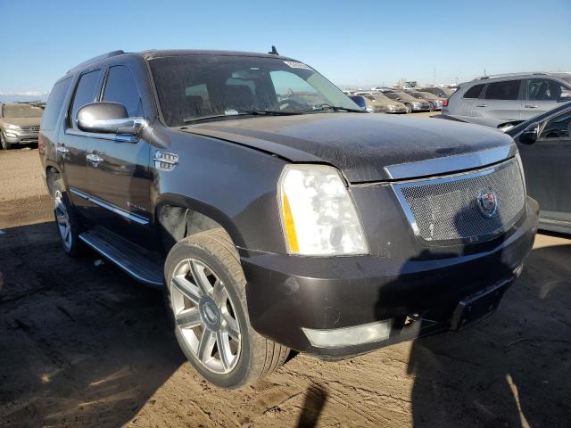 83609544-2010-cadillac-escalade_4