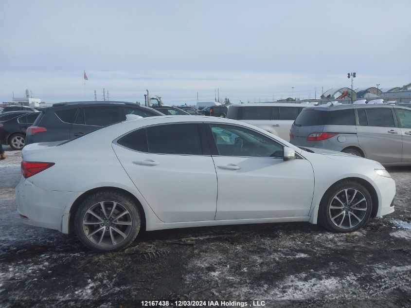 i2524417-2015-acura-tlx_14