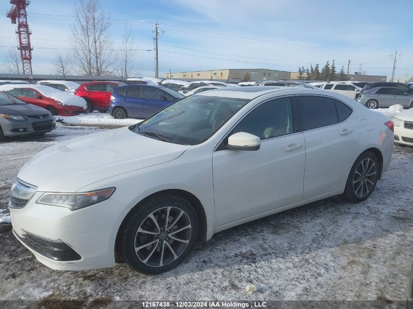 i2524417-2015-acura-tlx_15