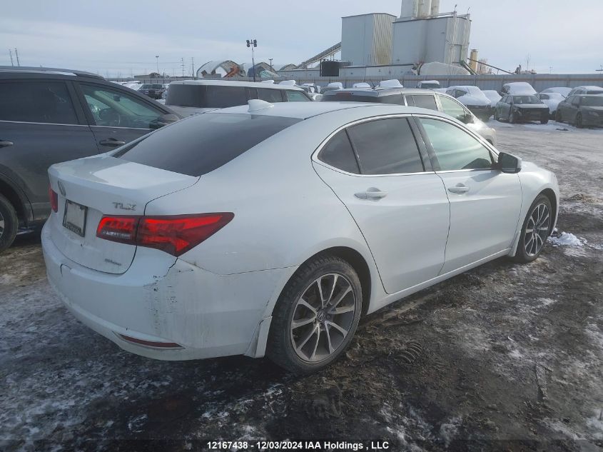 i2524417-2015-acura-tlx_4