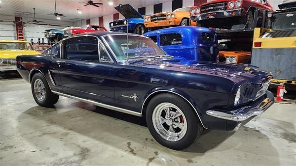 1965 Ford Mustang Fastback for Sale
</span>