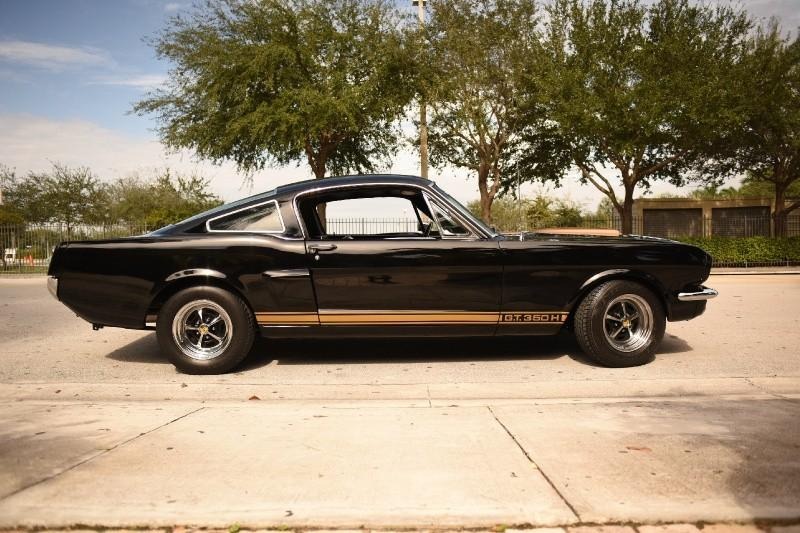 1965 Ford Mustang Fastback Shelby Hertz GT350 for Sale
</span>