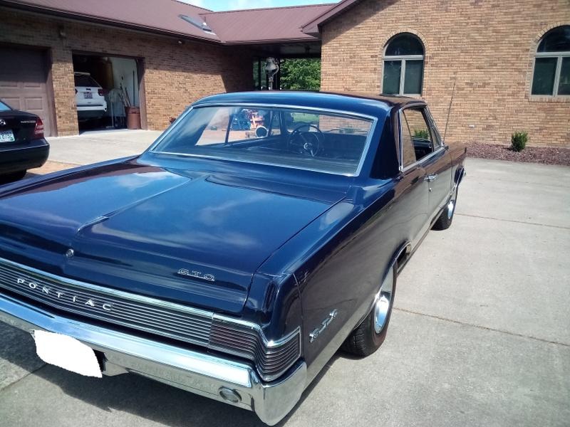 1965 Pontiac GTO for Sale
</span>