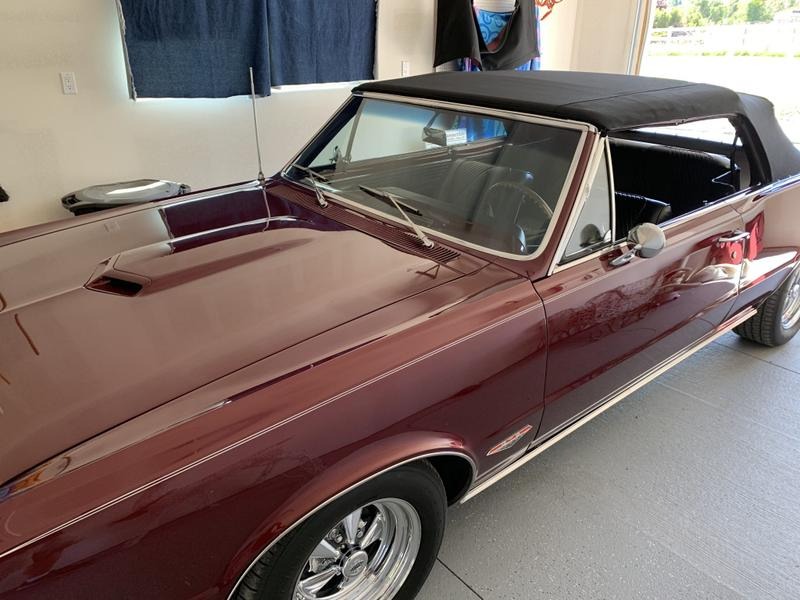 1965 Pontiac Le Mans Convertible GTO Tribute for Sale
</span>
