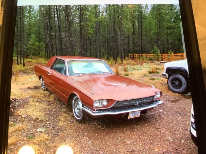 1966 Ford Thunderbird 1966 Ford Thunderbird. for Sale
</span>