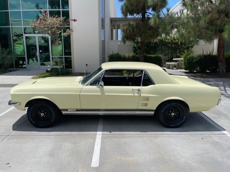 1967 Ford Mustang GTA 1967 Mustang Coupe GTA 289 for Sale
</span>