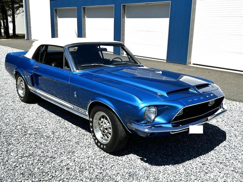 1968 Shelby GT500 for Sale
</span>