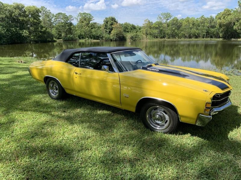 1971 Chevelle Ss Convertible for Sale
</span>