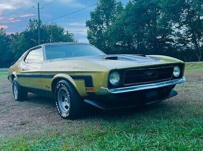 1973 Ford Mustang chrome 1973 Ford Mustang Coupe Green RWD for Sale
</span>