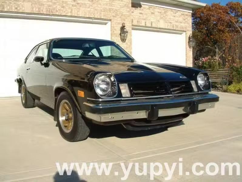 1975 Chevrolet Cosworth Vega Twin Cam Hatchback Manual for Sale
</span>