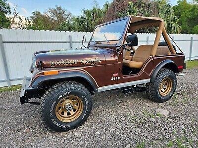 1979 Jeep CJ golden eagle 1979 Jeep CJ Convertible Brown 4WD for Sale
</span>