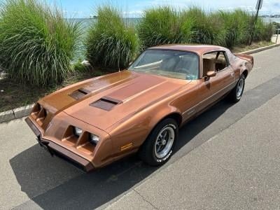 1979 Pontiac Firebird Coupe Brown for Sale
