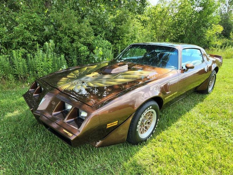 1979 Pontiac Firebird for Sale
</span>
