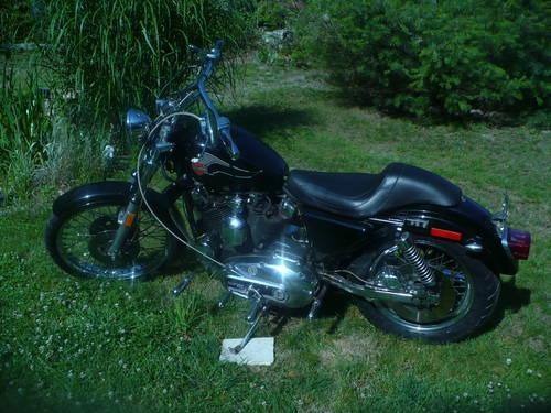 1979 Sportster for Sale
</span>