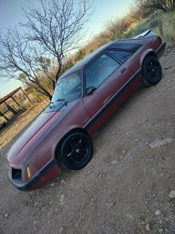 1986 Ford Mustang 1986 FORD MUSTANG FOXBODY HATCHBACK 5.0 for Sale
</span>