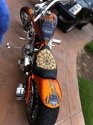 1998 Harley-Davidson Softail for Sale
</span>