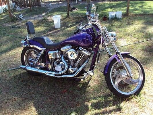 1999 Big Dog Pro Sport for Sale
</span>