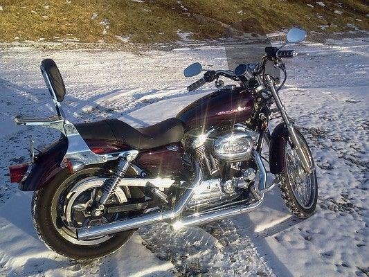 2007 Harley-Davidson 1200 for Sale
</span>