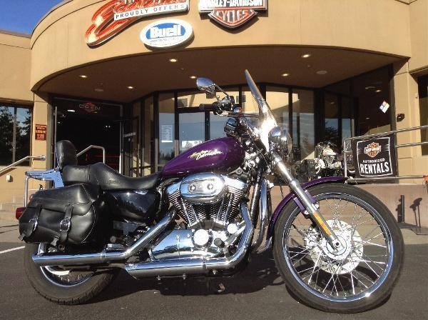 2008 Harley-Davidson Sportster 1200 Custom for Sale
</span>