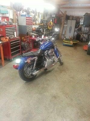 2009 Harley-Davidson Sportster 883 Custom for Sale
</span>