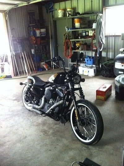 2010 Harley-Davidson Nightster/ sportster for Sale
</span>
