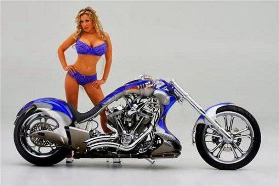 2011 Soft tail custom for Sale
</span>