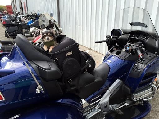 2014 Honda GOLD WING 1800 TRIKE 1800 TRIKE for Sale
</span>