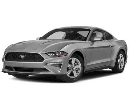 2019 Ford Mustang Eco Boost Premium for Sale