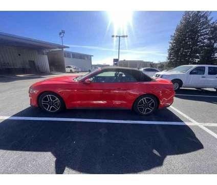 2021 Ford Mustang Eco Boost Premium for Sale
</span>