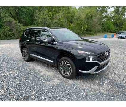 2021 Hyundai Santa Fe Calligraphy for Sale