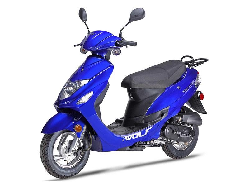 2021 Wolf Brand Scooters Wolf RX-50 for Sale
</span>