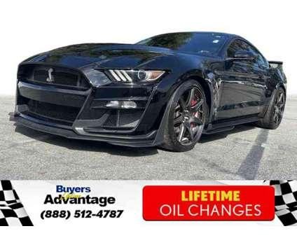 2022 Ford Shelby GT500 Shelby GT500 Fastback 5.2L V8 for Sale
</span>
