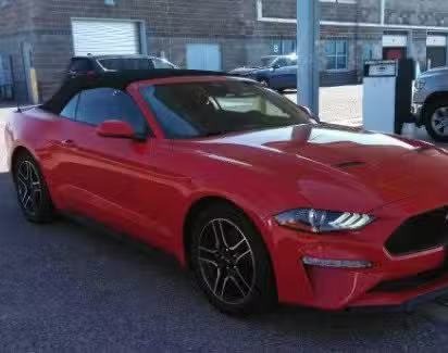 2023 Ford Mustang Eco Boost Premium for Sale