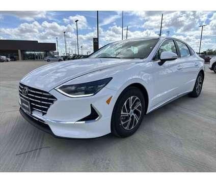 2023 Hyundai Sonata Hybrid Blue for Sale
