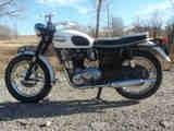 Used 1966 Triumph T120 Bonneville for Sale
</span>